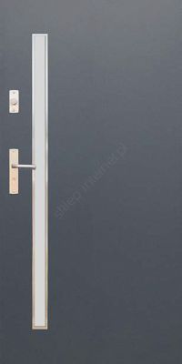 Drzwi Wikęd Future Inox - modele: FI010A