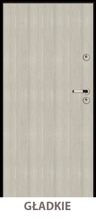 Drzwi PTZ PANELOWE KLASA 3 i 4 (c) WEWNĄTRZKLATKOWE 100E z montażem dla klienta indywidualnego