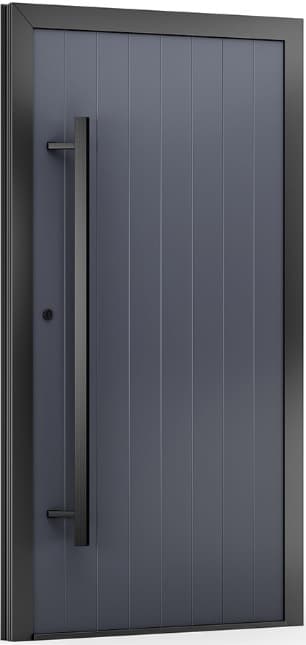 DRZWI ENTRA VE 42