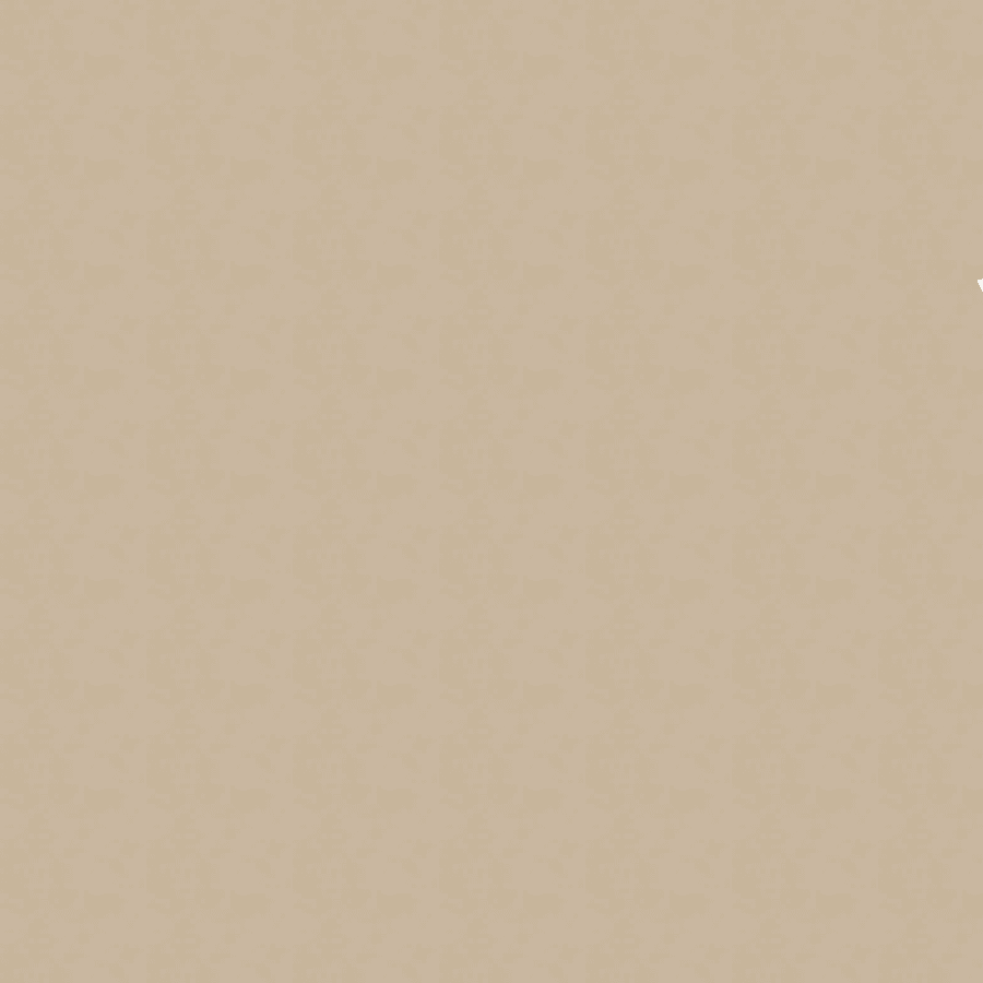 Drzwi Pol-Skone HAPTIC 03SD - zdjęcie 3