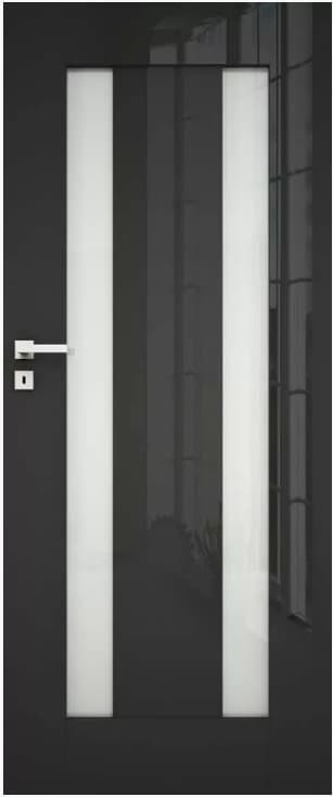 Drzwi DRE Ilis 1