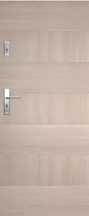 Drzwi DRE Enter 19