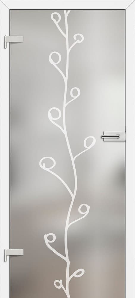 Drzwi ERKADO SZKLANE GRAF 13