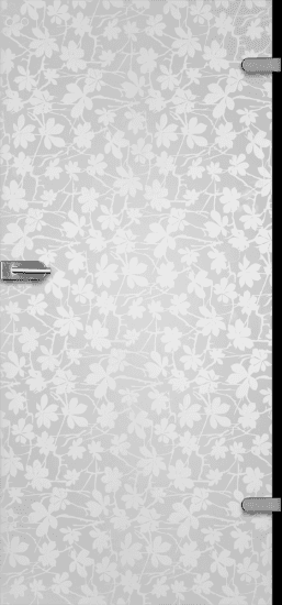 Drzwi szklane DRE GALLA 6