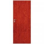 Drzwi POL-SKONE DYNAMIC wzór 00