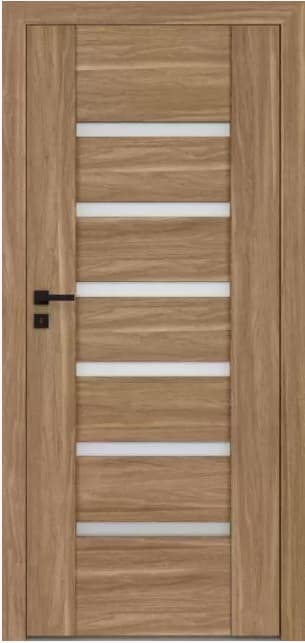 Drzwi DRE Reva 1
